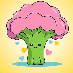 PINKBROC / SOL