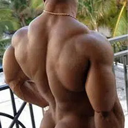 BUTT / SOL