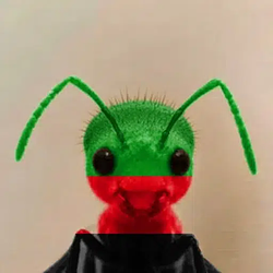 ANT