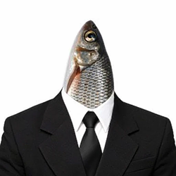 Fi