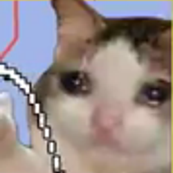 sad cat / BNB