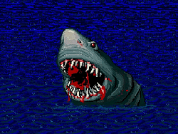 shark / USDC