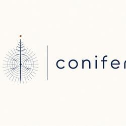Conifer