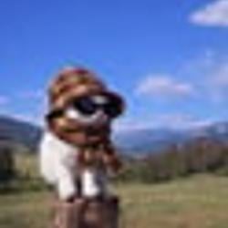 offline