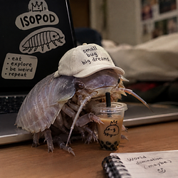 $ISOPOD