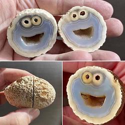 CookieMonster