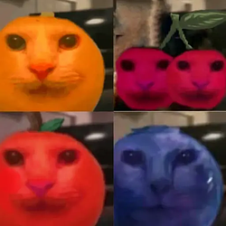 fruitcats