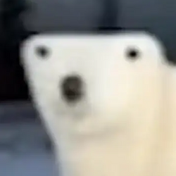Ver