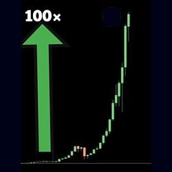 100X / SOL