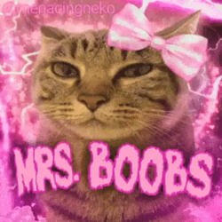 BOOBS / SOL