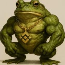 Bnbfrog / USDC