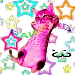 purplecat / SOL