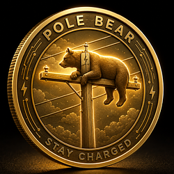 BEARCOIN / SOL