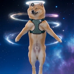 MOONIMALS