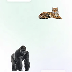 gotem