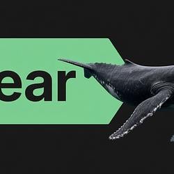 NEWRWHALE