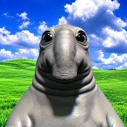 SNORP