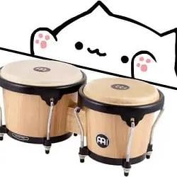 BONGO
