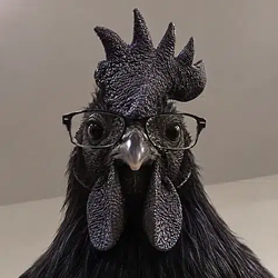 BlackCock