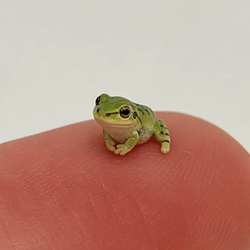 ElToad / SOL