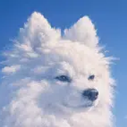 cloudy / SOL