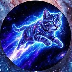 cat/acc