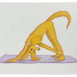 DownDog