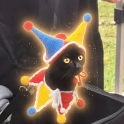 CLOWNCAT