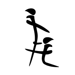 Chinese blowjob