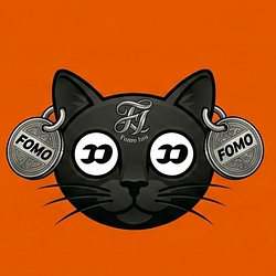 FI