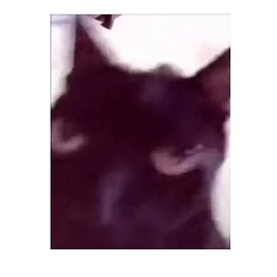 $CRINGE