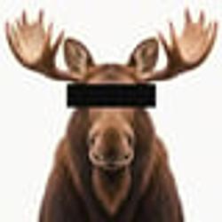 Anonymoose