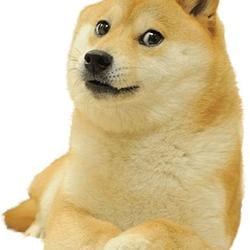 DOGE