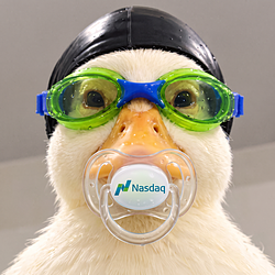 Baby Nasduck (BabyQQQ) logo