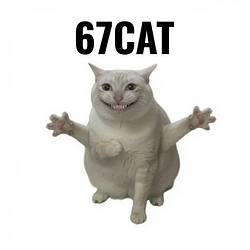 67CAT / SOL