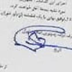 FLORK / SOL