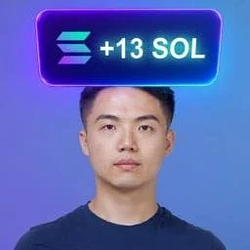PNL / SOL