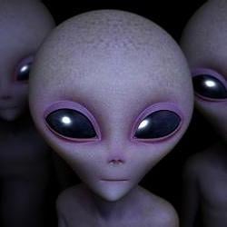 area 51 / BNB