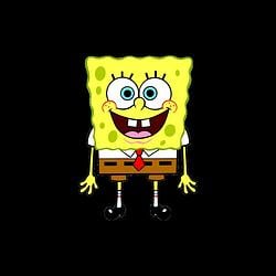 sponge / SOL