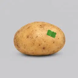 Spud