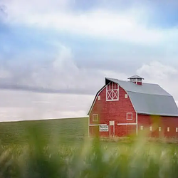 FARM