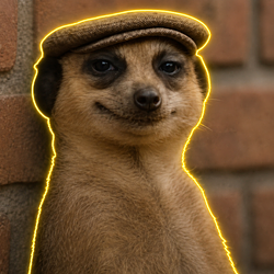 DOGE 0.5 / SOL