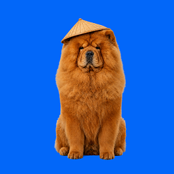 Chow logo