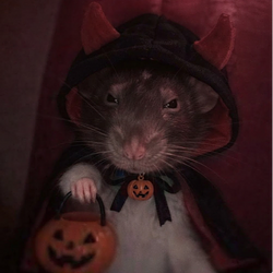 HalloRat