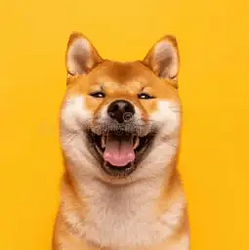 SI