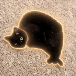 Purrawn / BNB