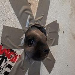 GloryHole / SOL