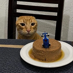 CANCERKITTEN