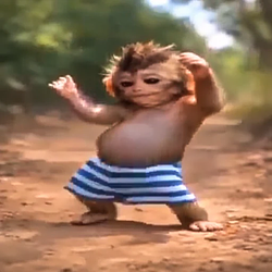 Monke