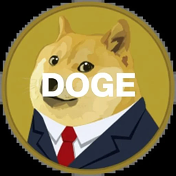 A Doge Stock